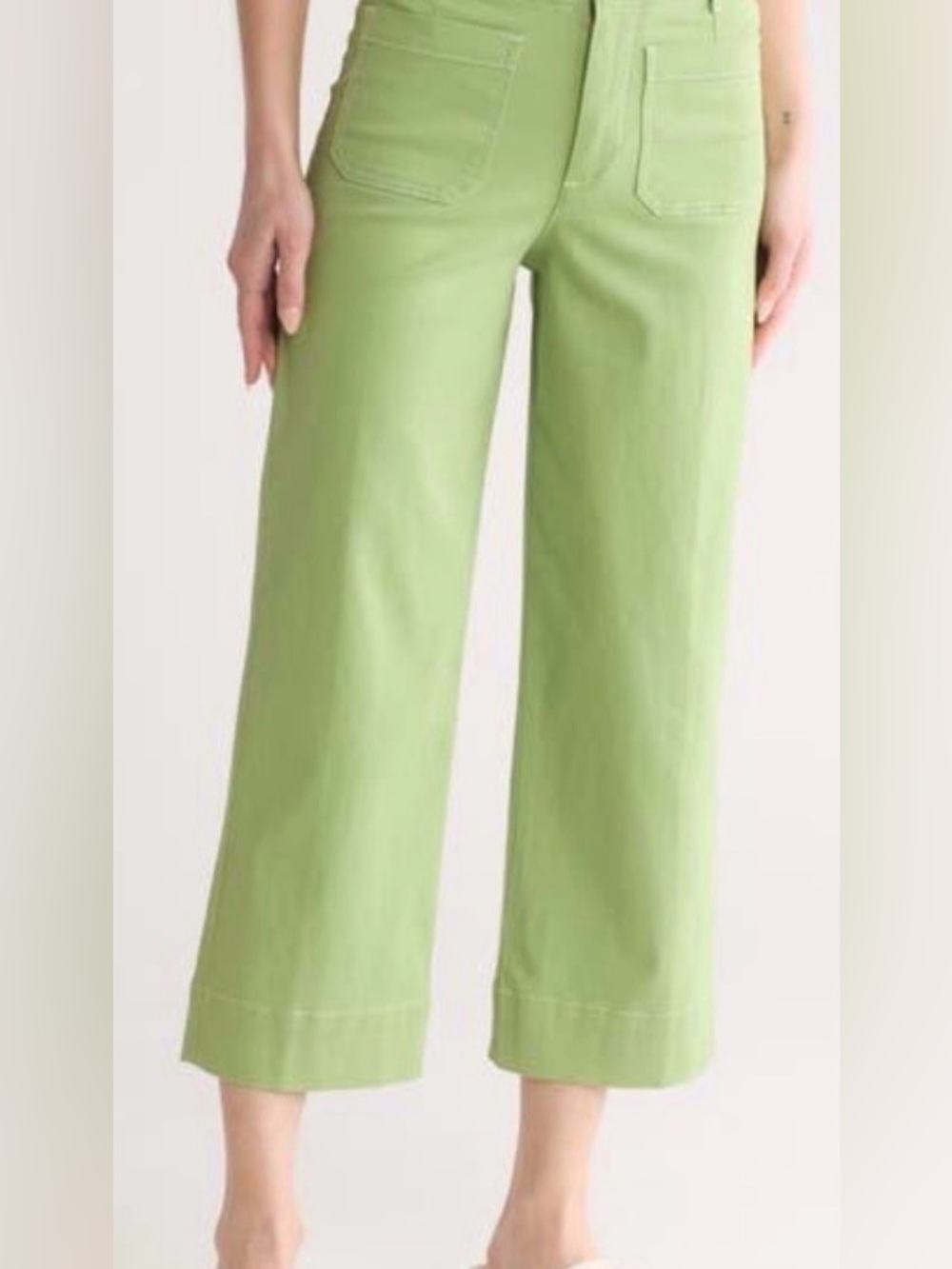 Bagatelle High Rise Cropped Wide-Leg Pants in Light Green